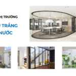 Kính Siêu Trong Viglacera