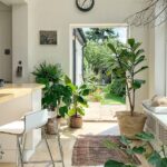 5 Mẹo Giúp Ngôi Nhà Luôn Mát Mẻ