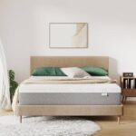 Loại Nệm Nào Đáng Đầu Tư Nhất Cho Sức Khỏe Gia Đình?