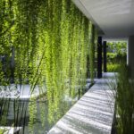 Nhà Hướng Tây Và Giải Pháp Tránh Nắng Hiệu Quả