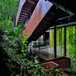 Top 10 không gian nội thất Biophilic thú vị 2025