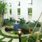 20+ Gợi Ý Cây Cảnh Đẳng Cấp Cho Sân Vườn Biệt Thự