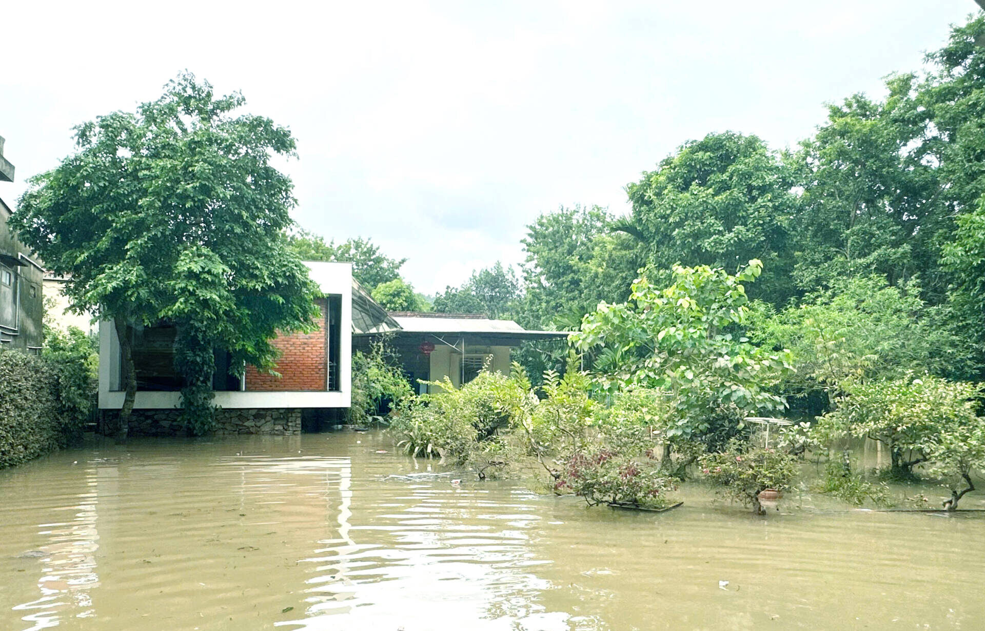 Nhà Trú: Kiến Trúc Thích Ứng Với Ngập Lụt