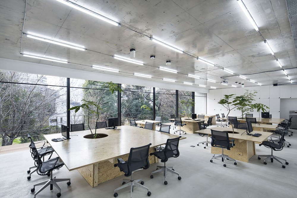5 Tiêu Chuẩn Cải Tạo Thiết Kế Nội Thất Văn Phòng